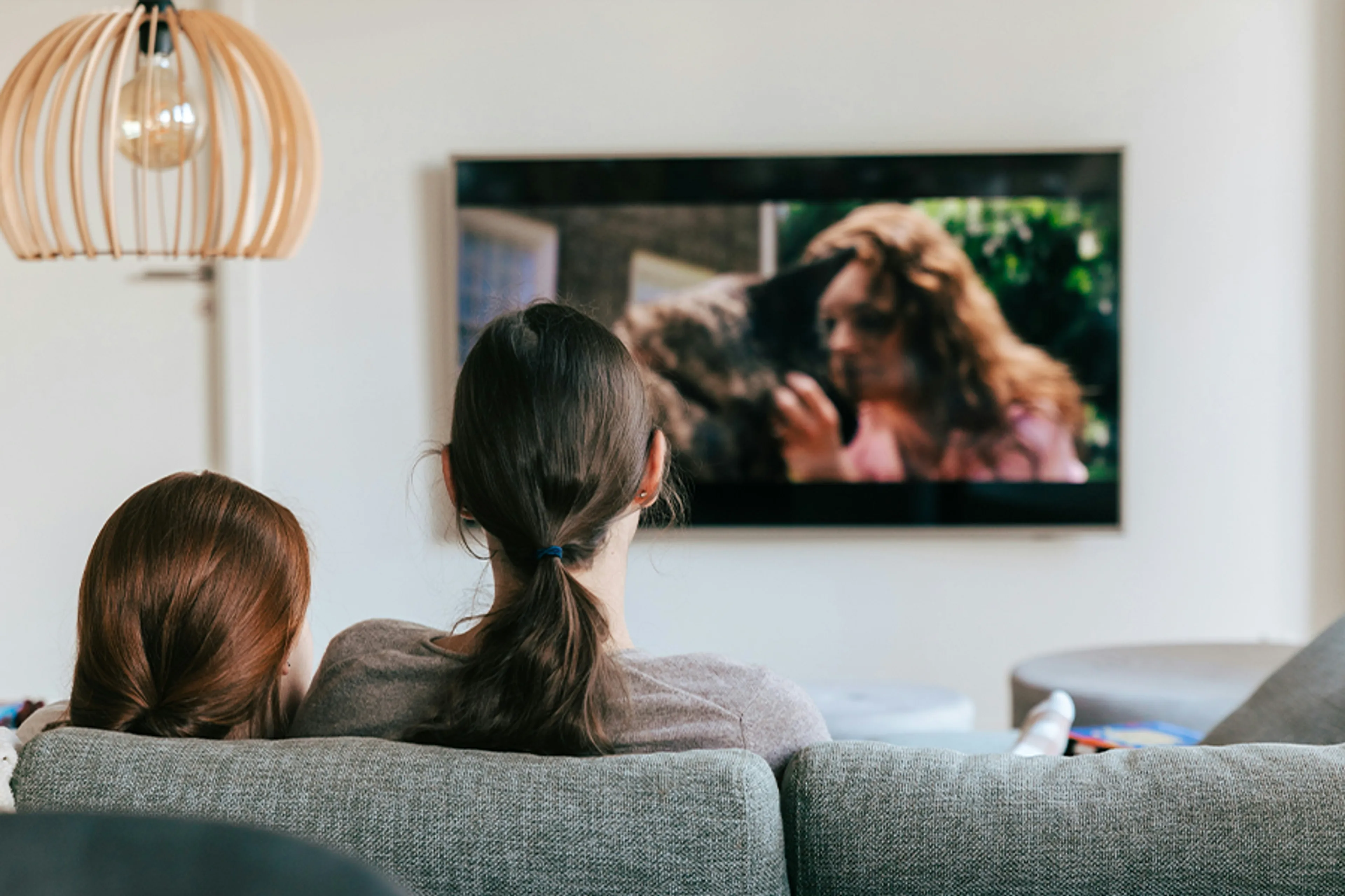 Afbeelding van artikel