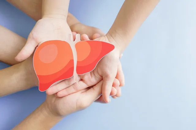 ‘Mensen overlijden op de wachtlijst’ – aantal levertransplantaties vanwege overgewicht is verdrievoudigd.