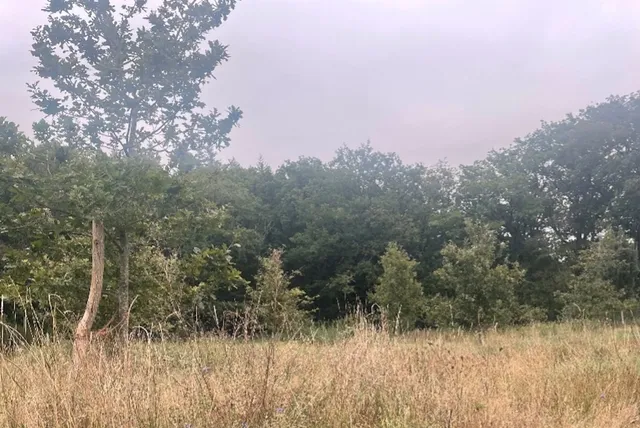 Martine herdenkt haar overleden moeder: ‘De woorden uit psalm 103 klinken in mij’.