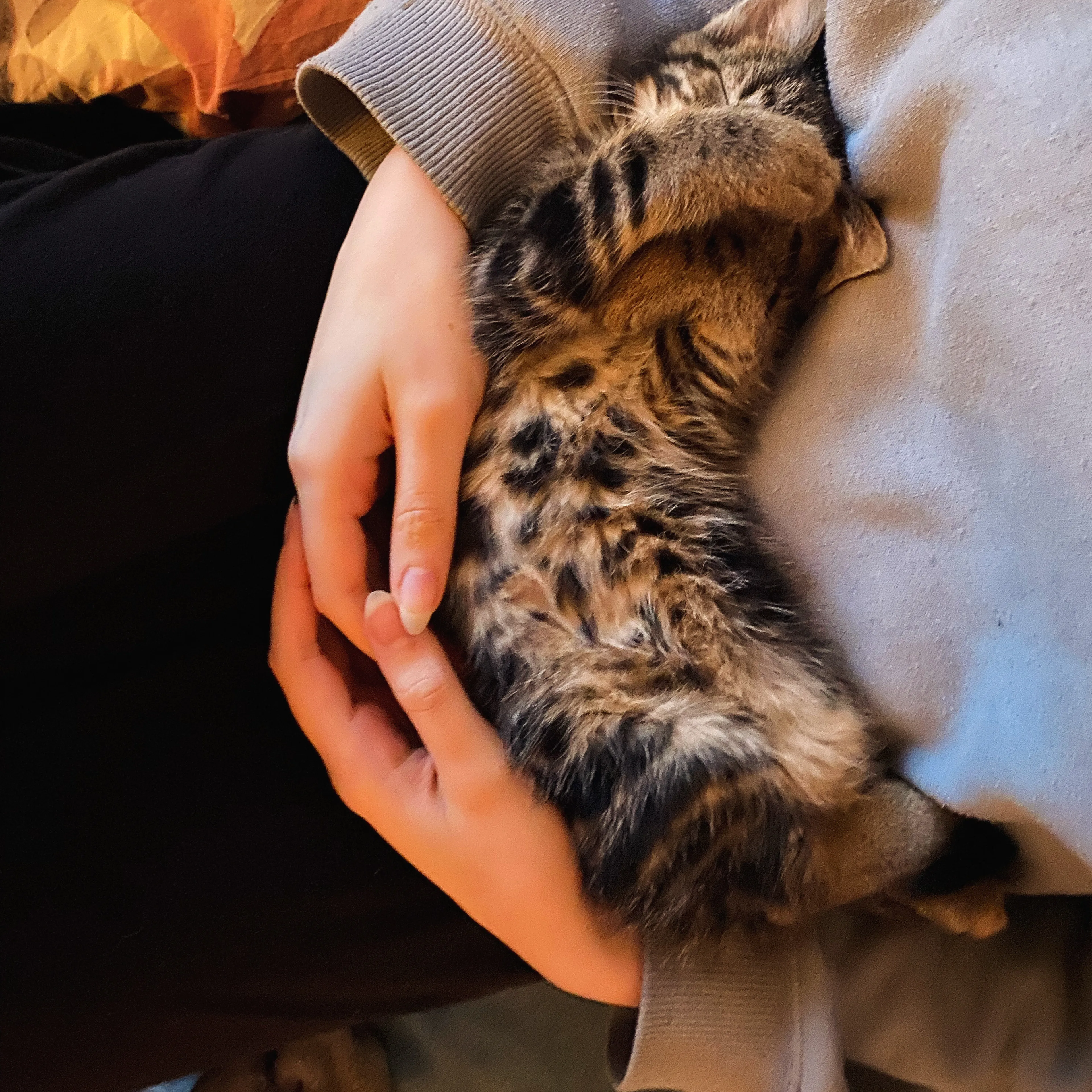 Nathalie’s zoon én dochter hebben mentale problemen