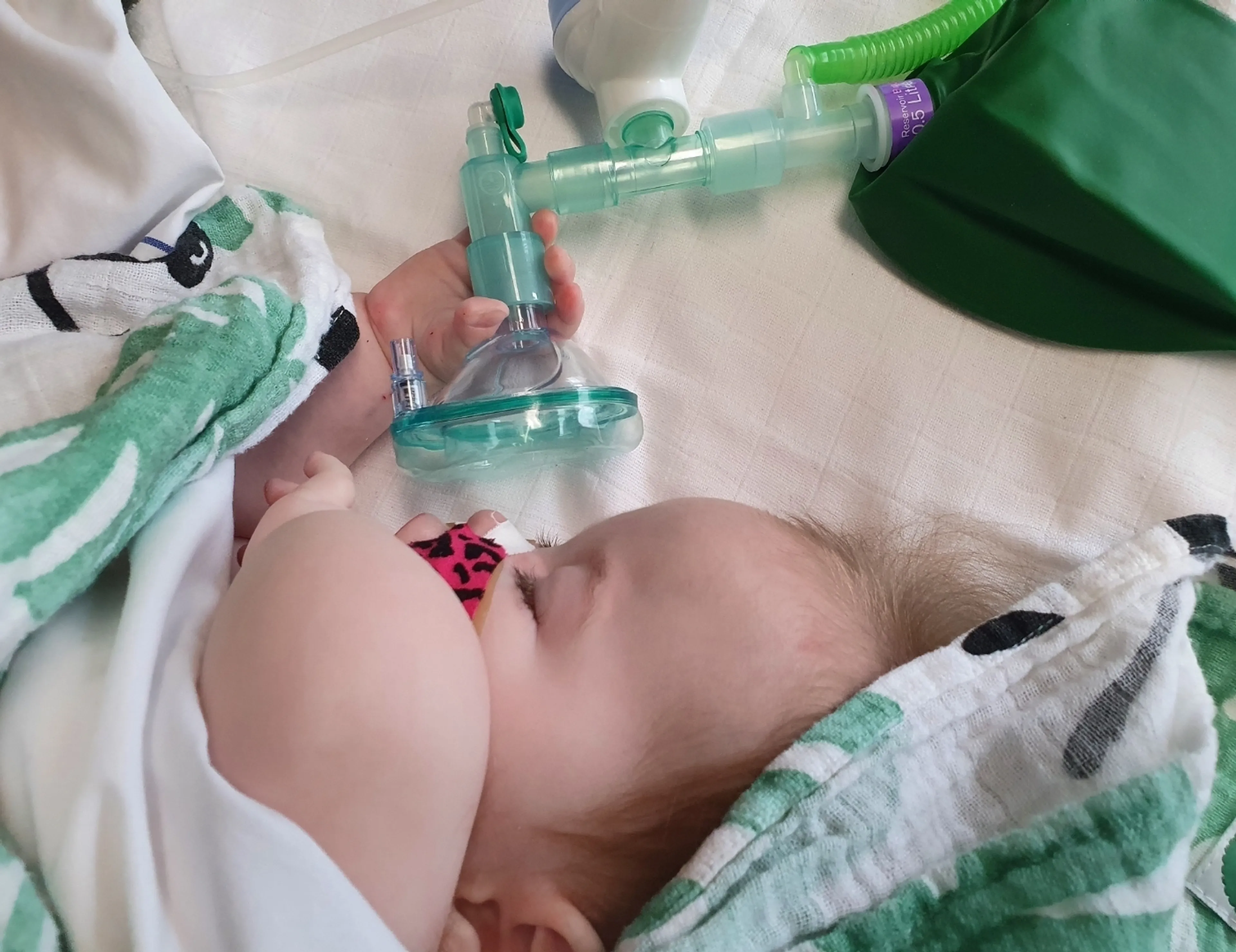 Uitgelichte afbeelding