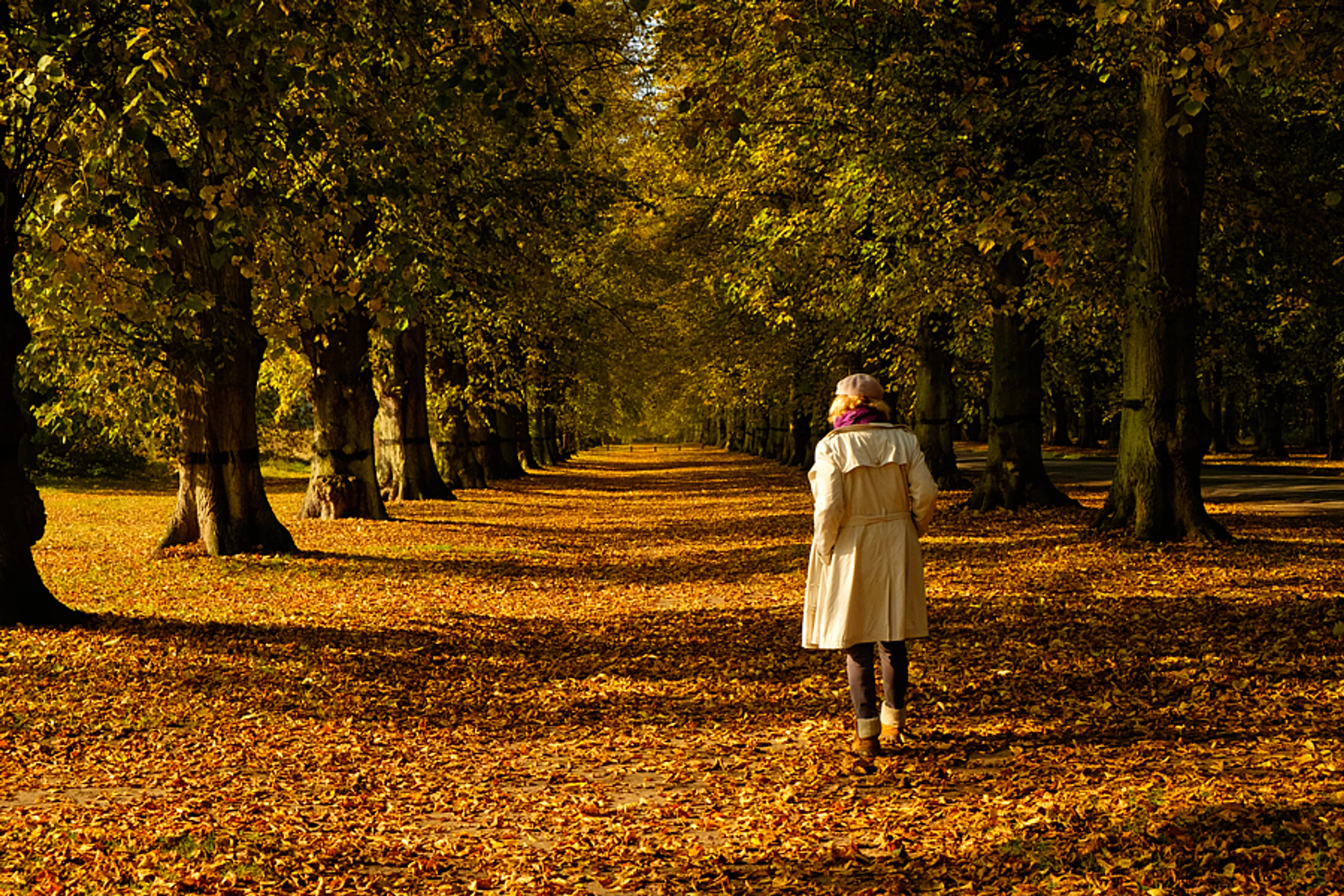 Uitgelichte afbeelding