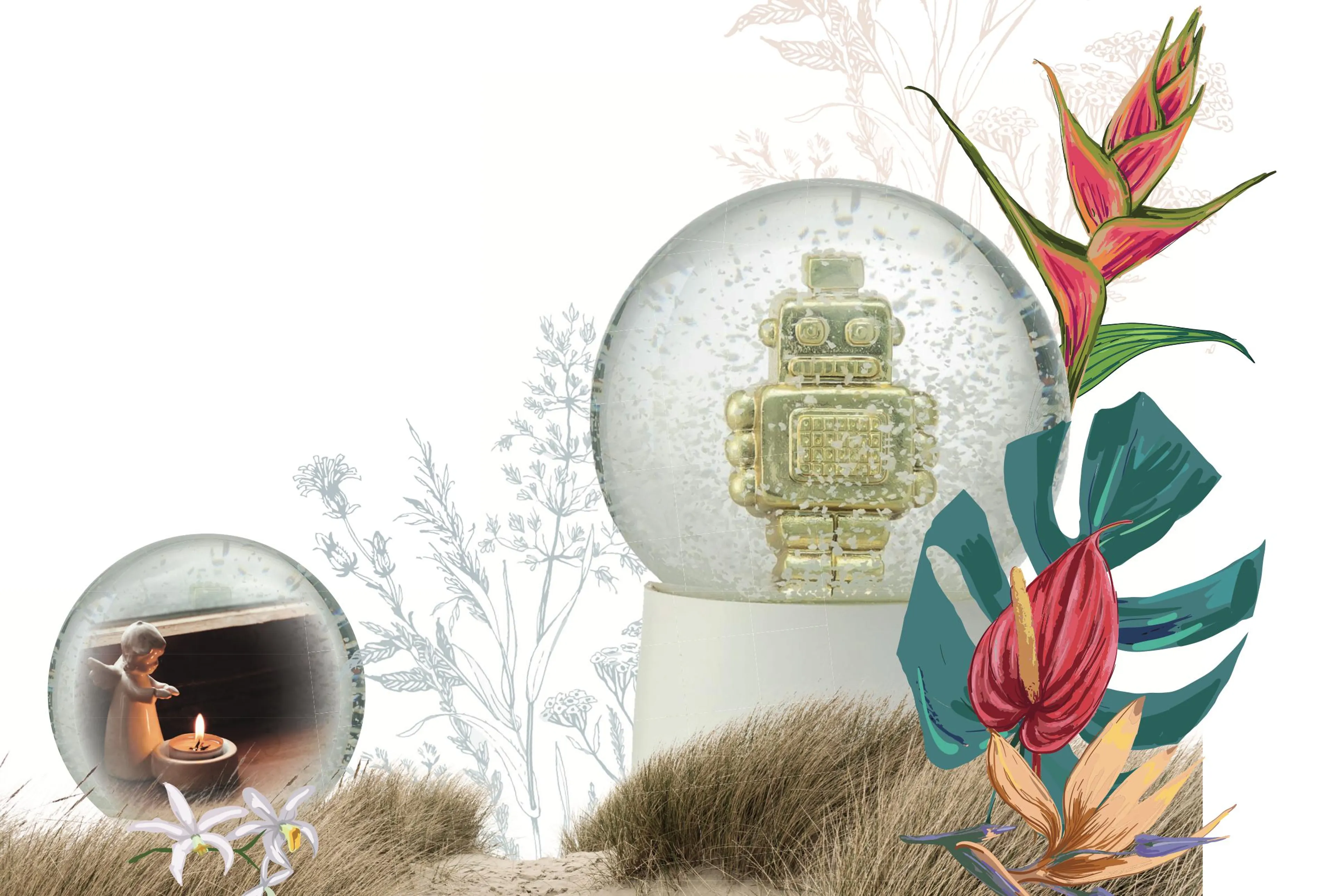 Uitgelichte afbeelding