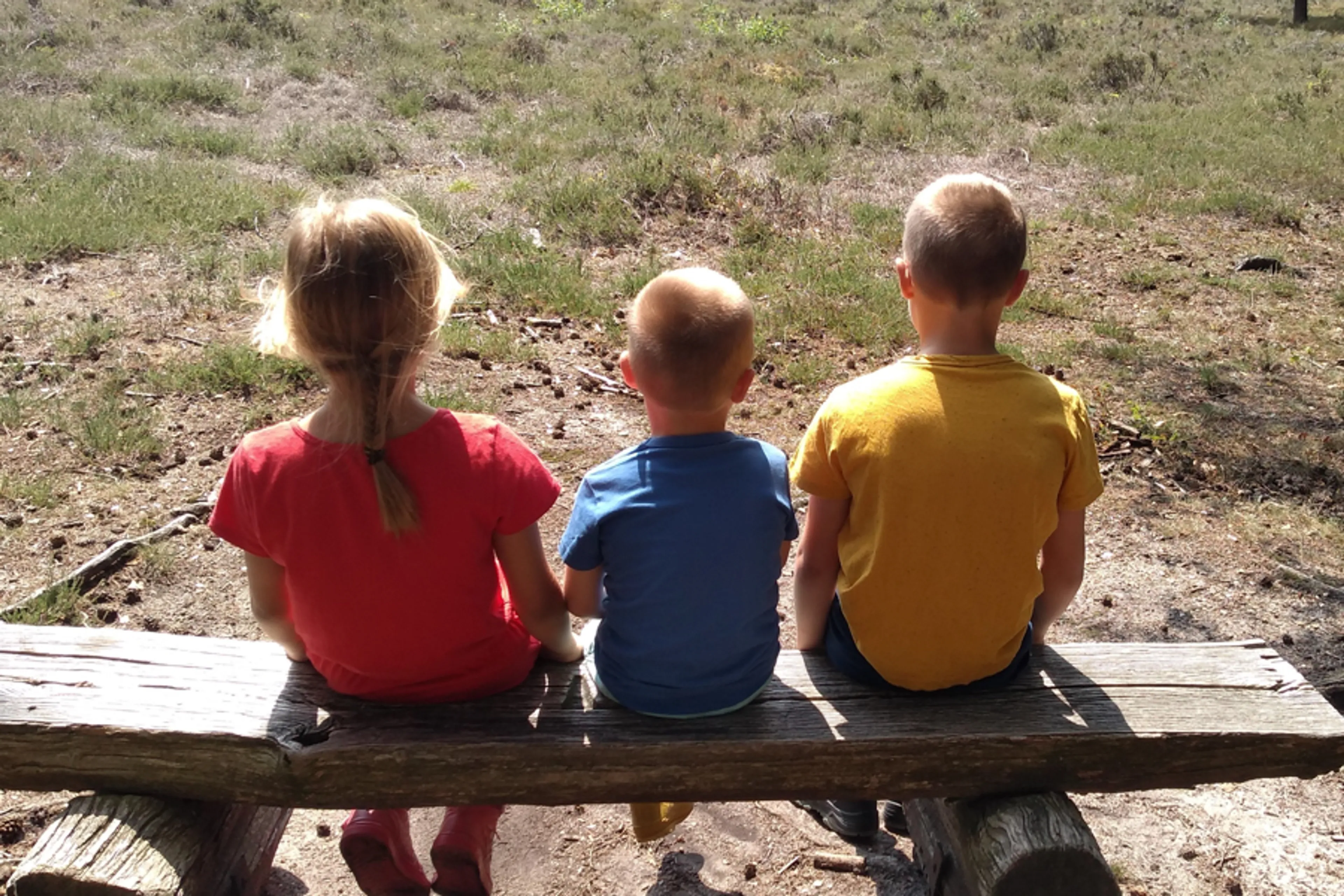 Uitgelichte afbeelding