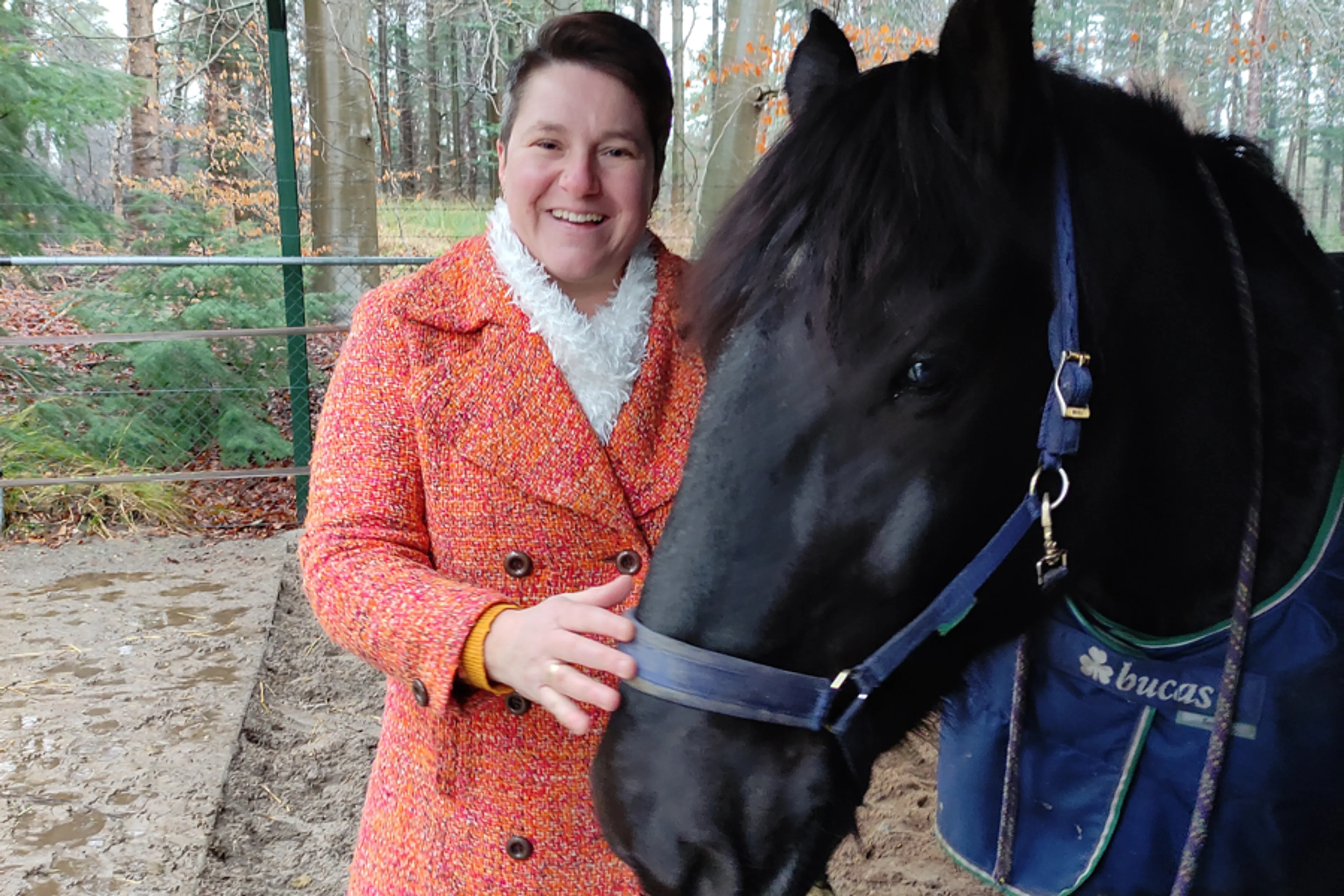 Uitgelichte afbeelding