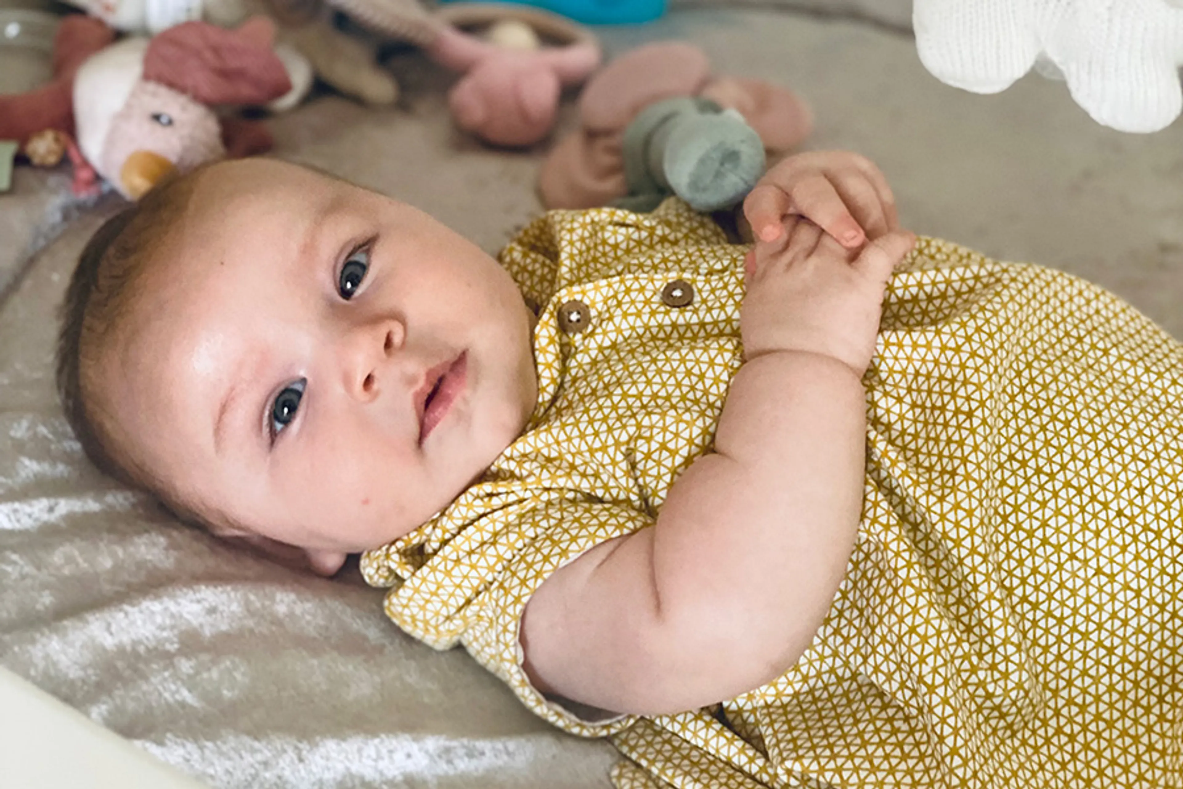 Uitgelichte afbeelding