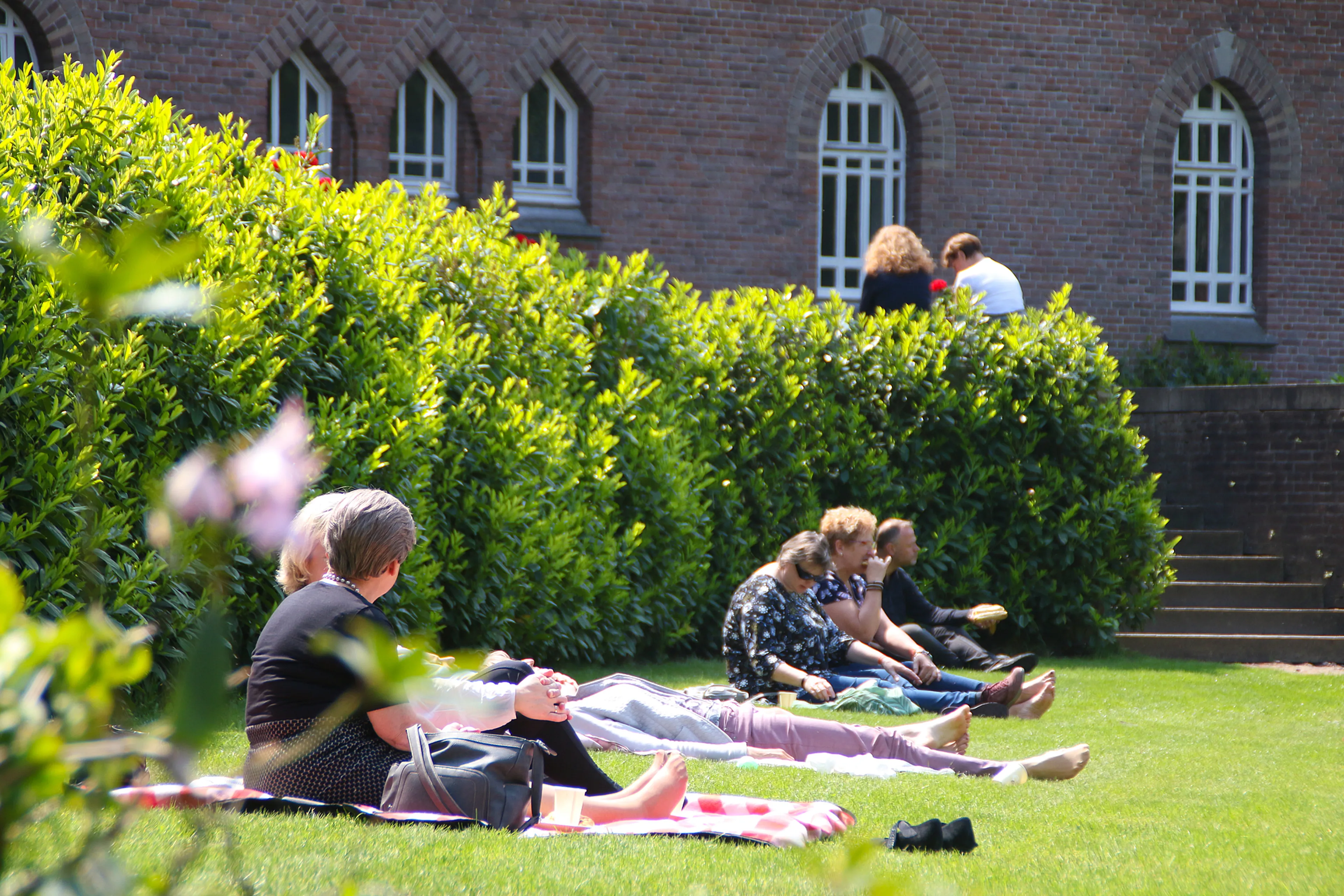 Uitgelichte afbeelding