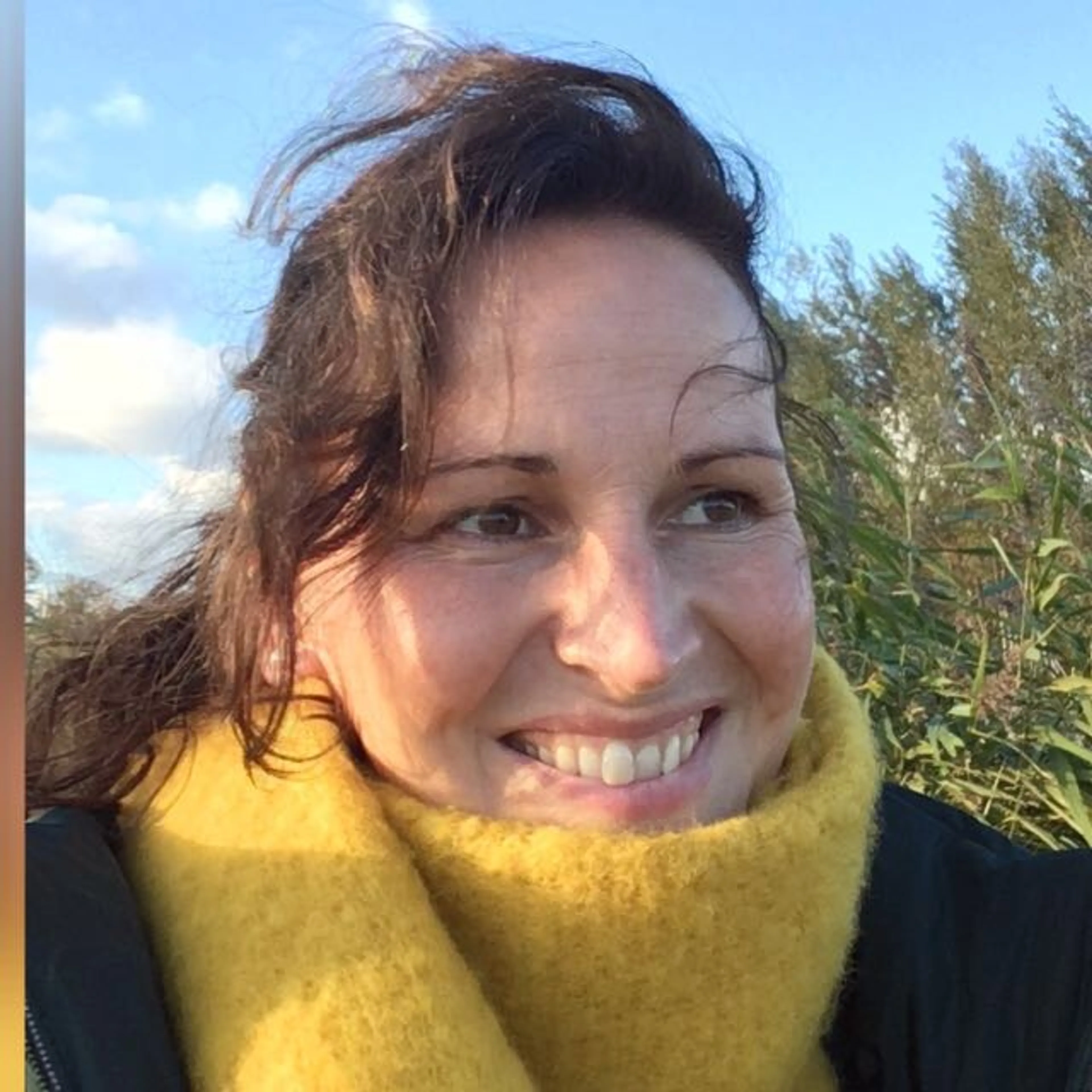 Uitgelichte afbeelding