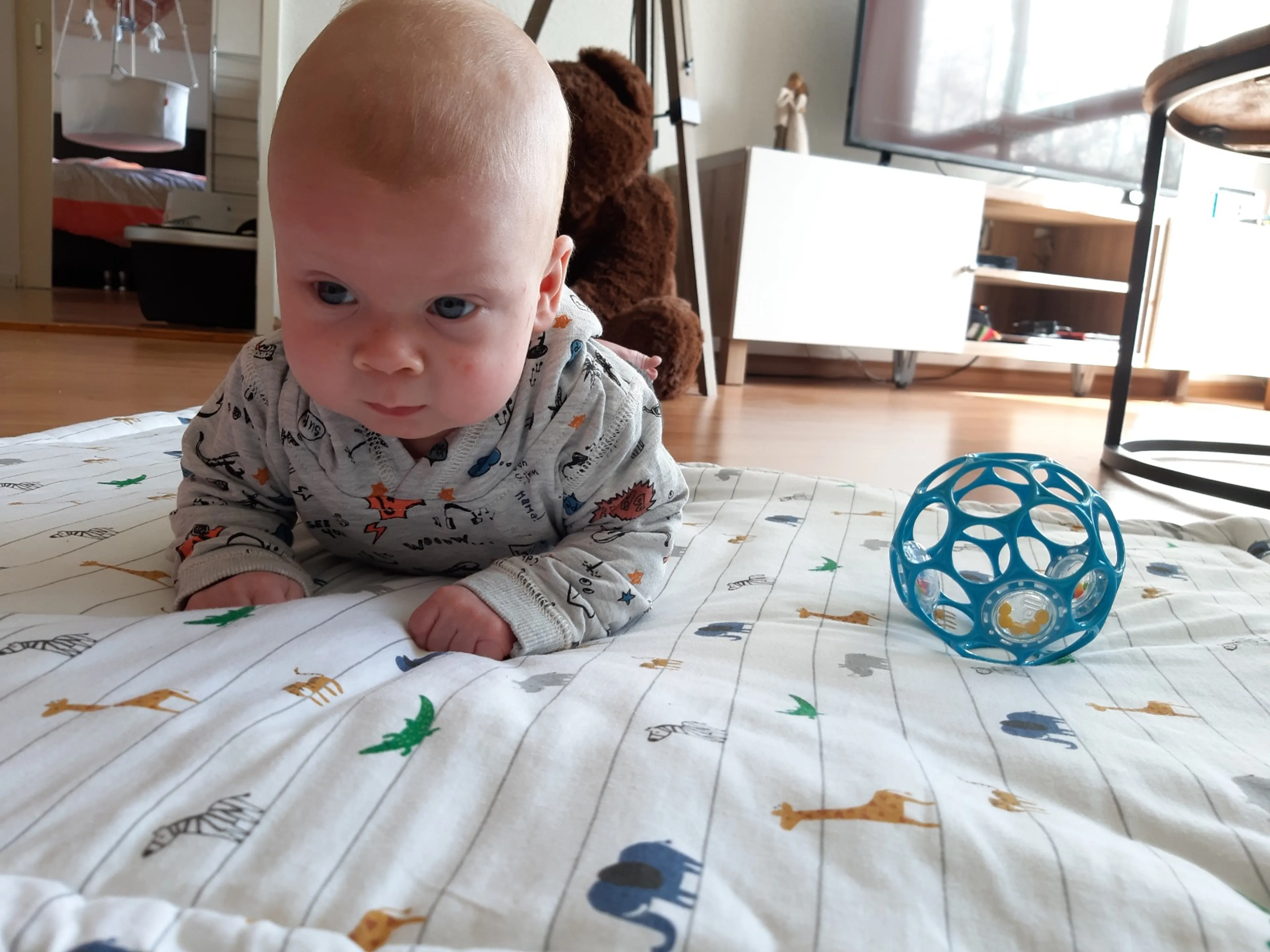 Uitgelichte afbeelding