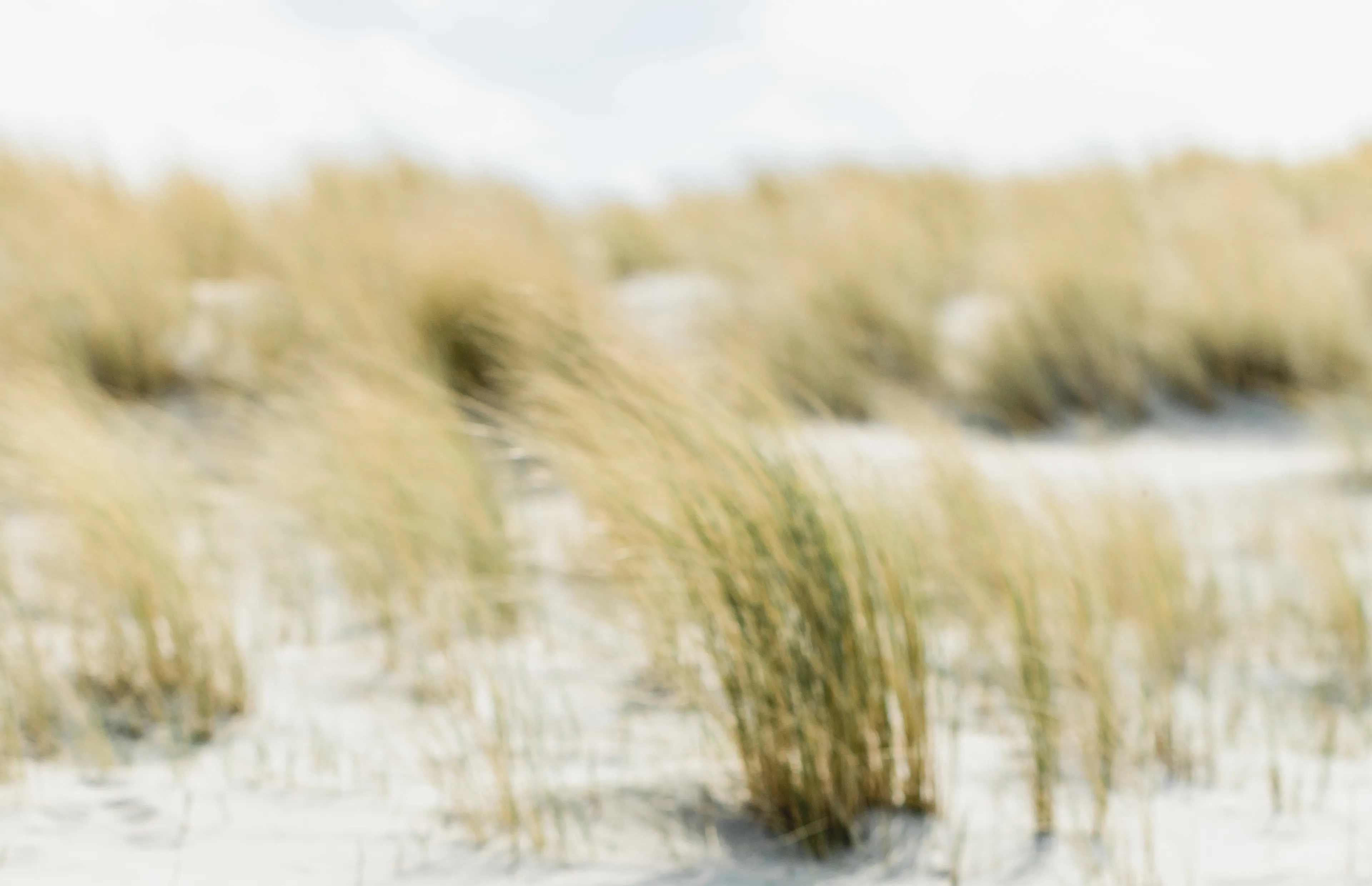 'Mijn leven was een feestje, en nu is het klaar'