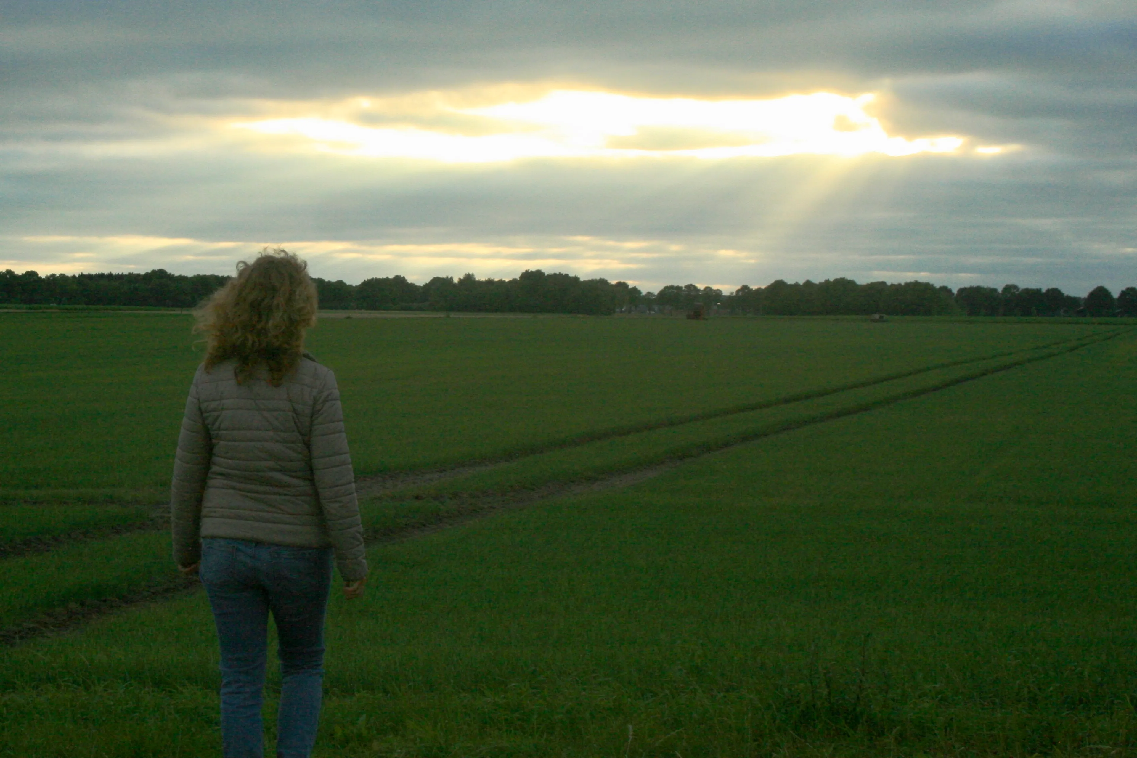 Uitgelichte afbeelding