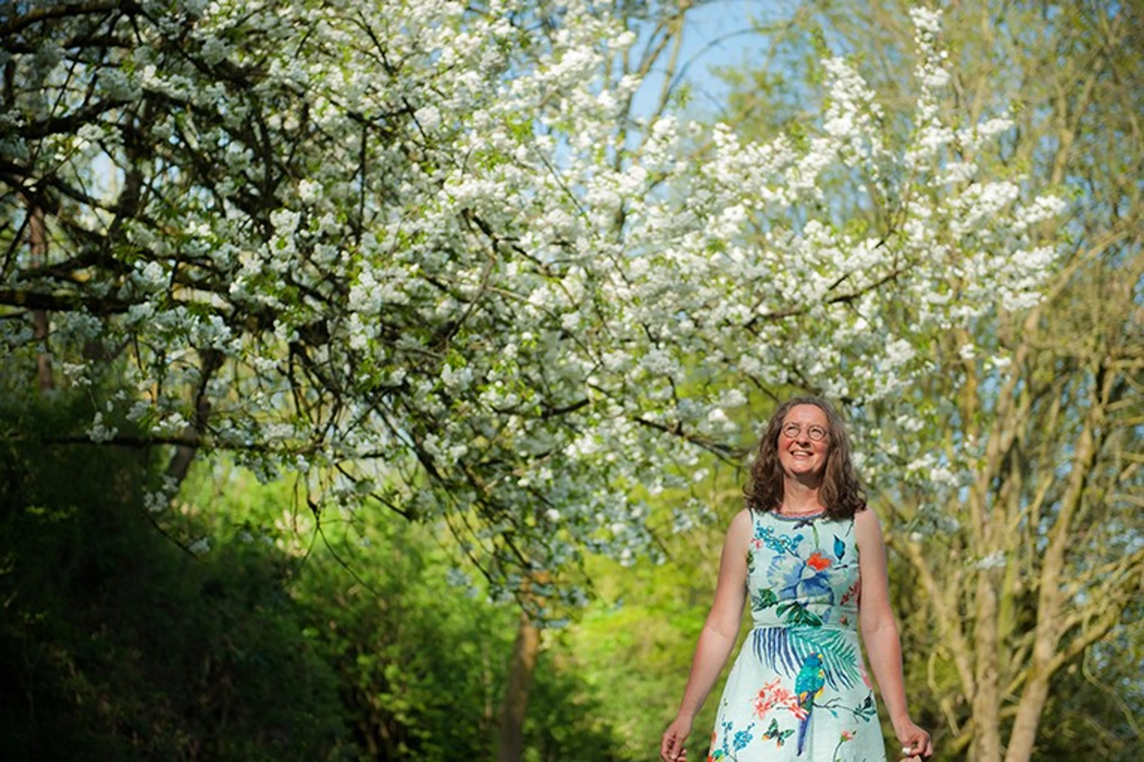 Uitgelichte afbeelding