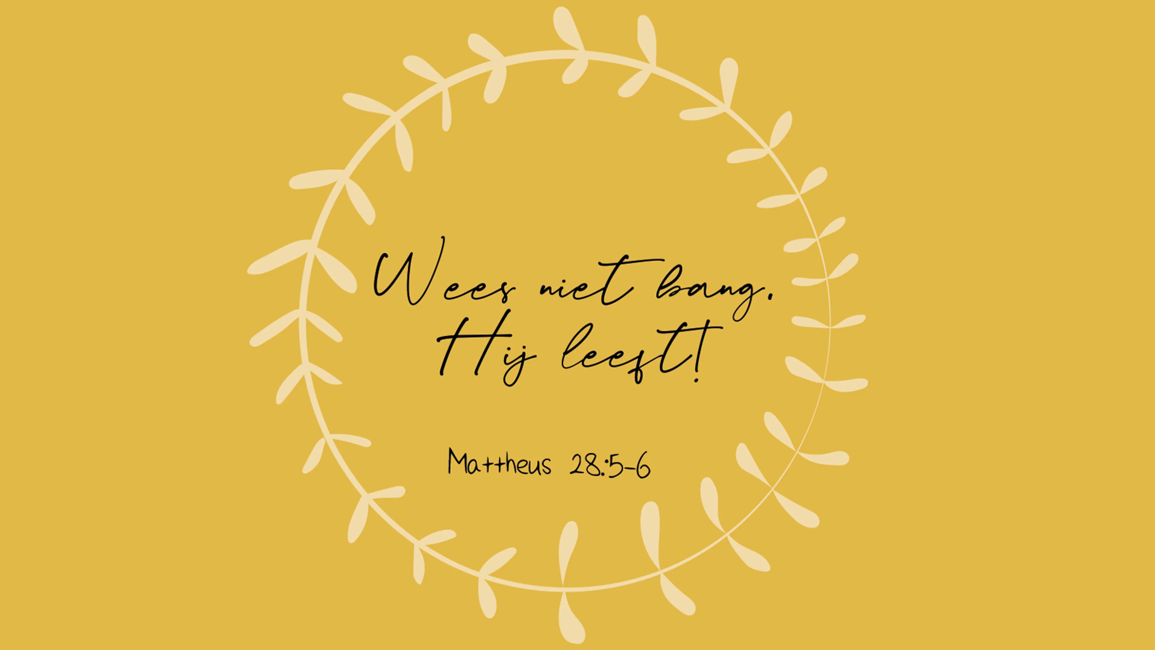 Uitgelichte afbeelding