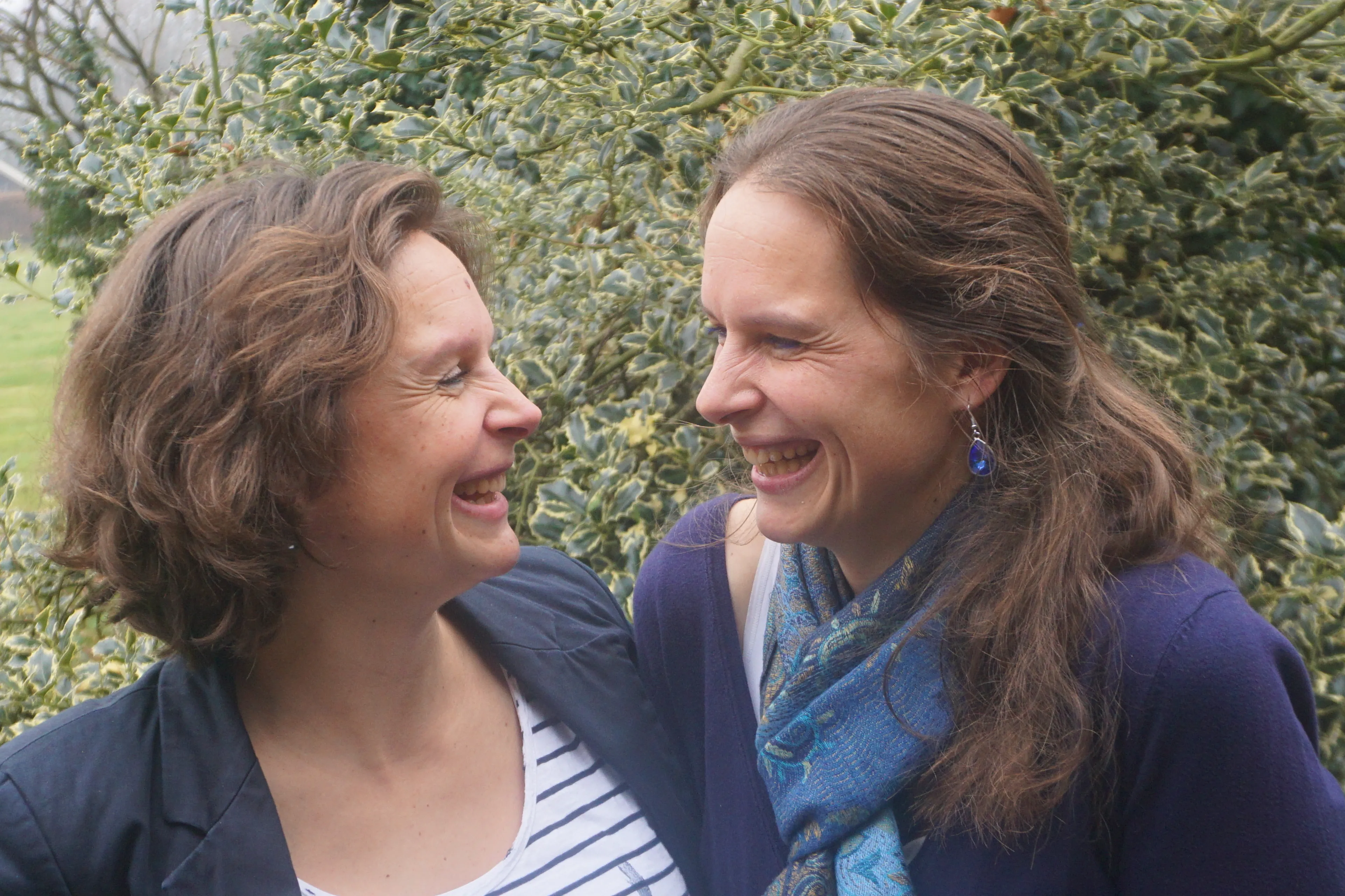 Uitgelichte afbeelding