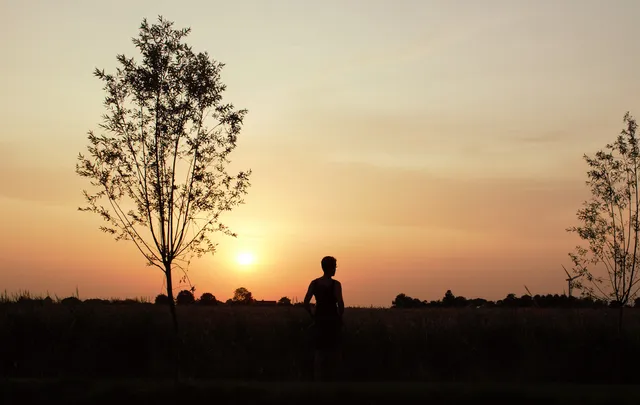 Uitgelichte afbeelding