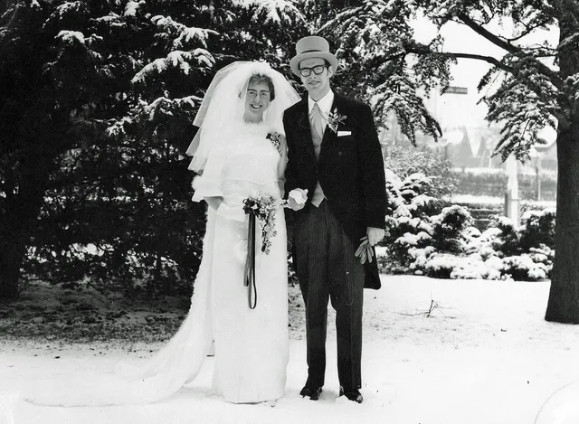 Uitgelichte afbeelding