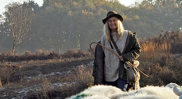 Uitgelichte afbeelding