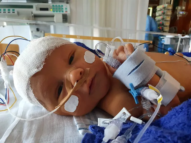 Uitgelichte afbeelding