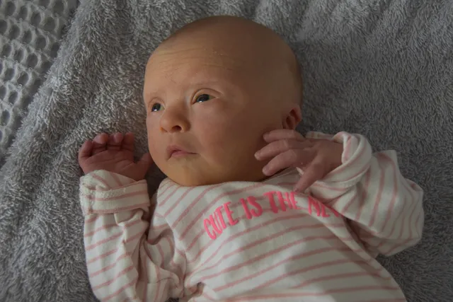 Uitgelichte afbeelding