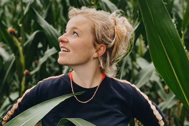 Uitgelichte afbeelding