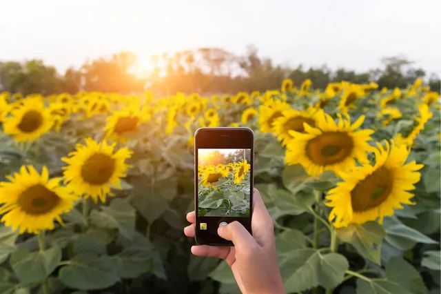 Tips voor de mooiste vakantiefoto's met je smartphone.