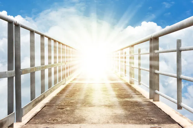 Uitgelichte afbeelding