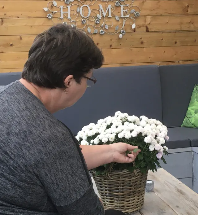 Uitgelichte afbeelding