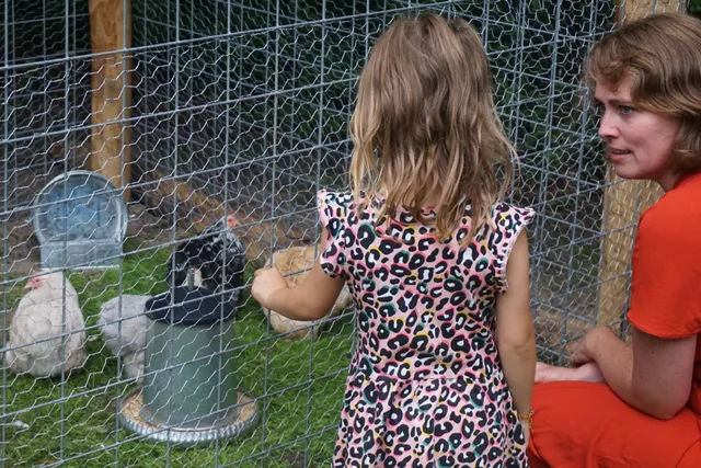 Uitgelichte afbeelding