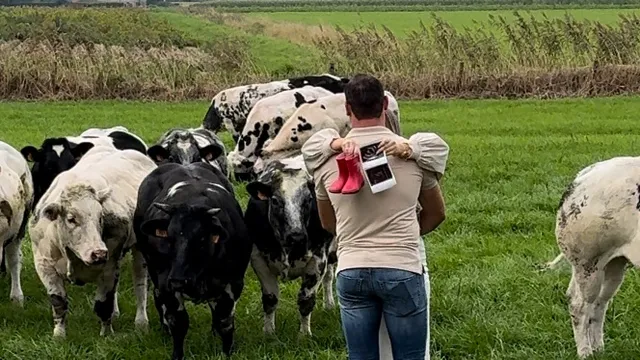 Uitgelichte afbeelding