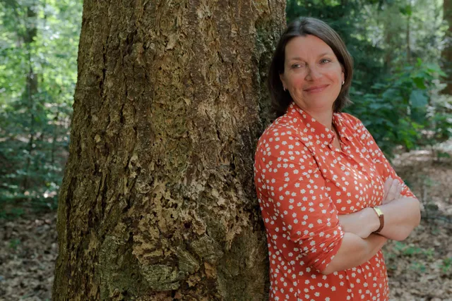 Uitgelichte afbeelding