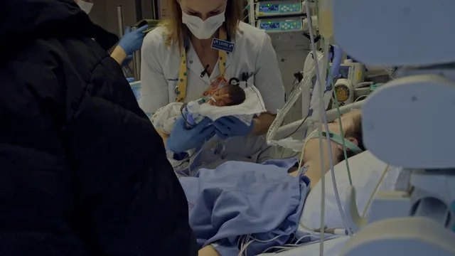 Uitgelichte afbeelding