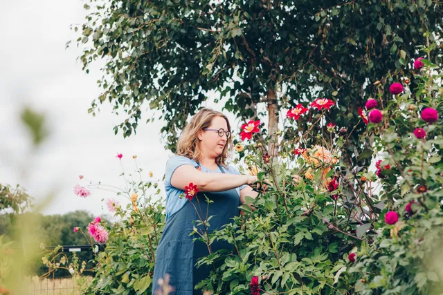 Uitgelichte afbeelding