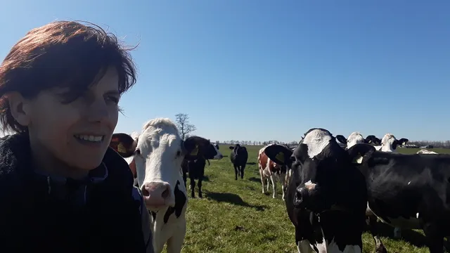 Uitgelichte afbeelding