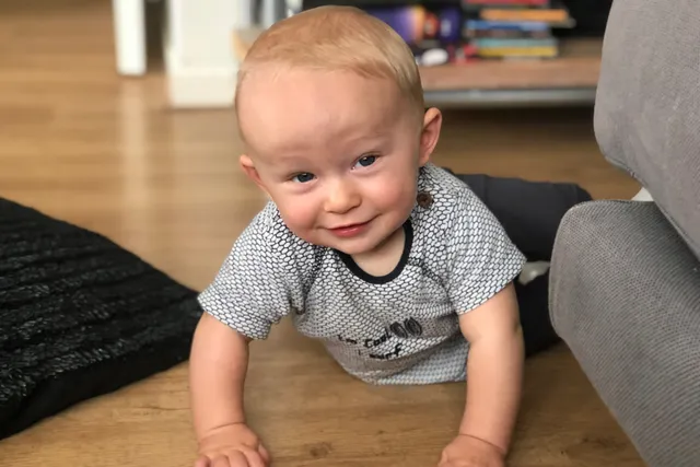 Uitgelichte afbeelding