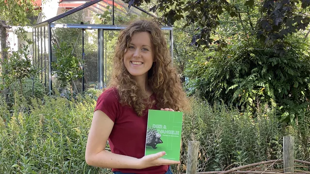 Uitgelichte afbeelding