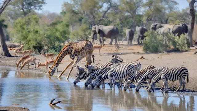 Uitgelichte afbeelding