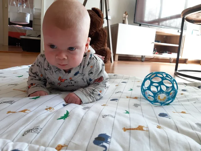 Uitgelichte afbeelding