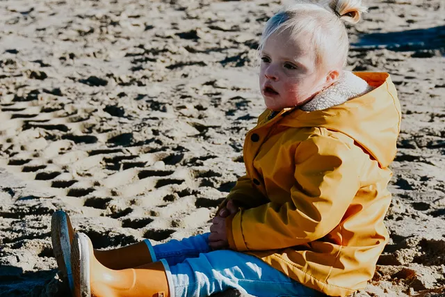 Uitgelichte afbeelding