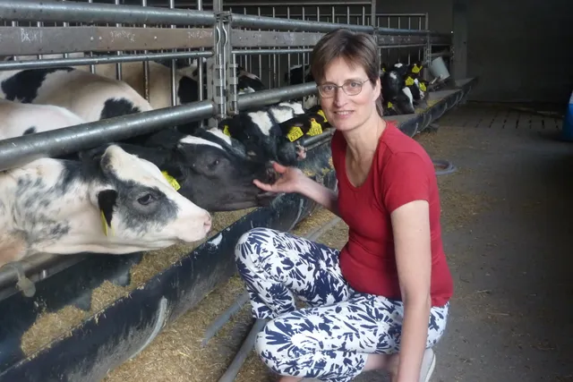 Uitgelichte afbeelding