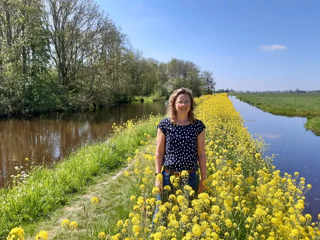 Uitgelichte afbeelding