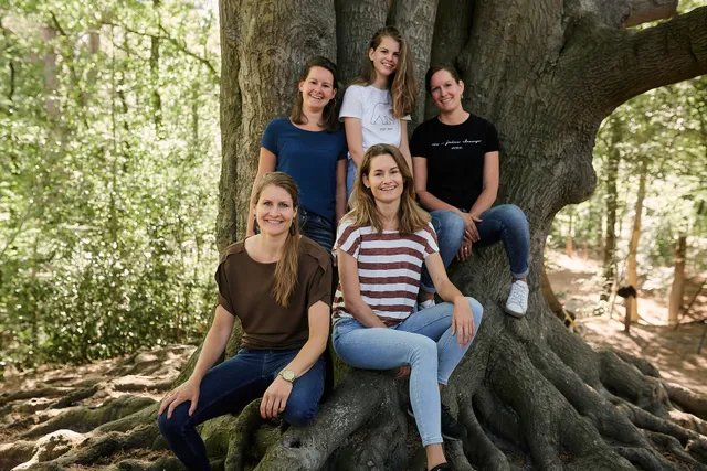 Uitgelichte afbeelding