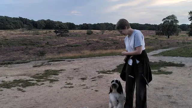 Uitgelichte afbeelding